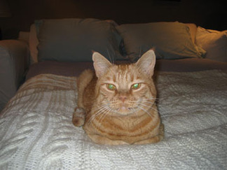 Oscar_2