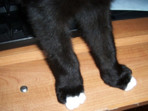 Richie_toes