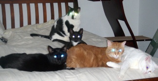 Waitin_on_santa_claws_2 Waitin_on_santa_claws_2
