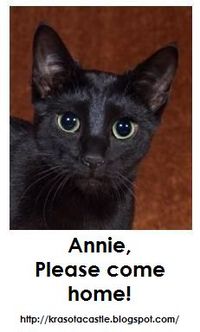 Anniecomehome_2 Anniecomehome_2