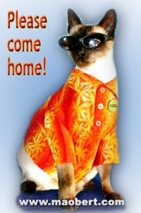 Maobert Maobert
