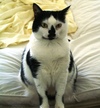 Elsie_small