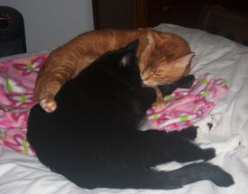 Takin_care_of_each_other_2 Takin_care_of_each_other_2