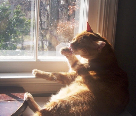 A_warm_bath_in_the_sunshine_2 A_warm_bath_in_the_sunshine_2
