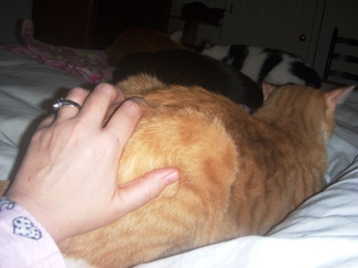 Butt_scratchin_time_small Butt_scratchin_time_small