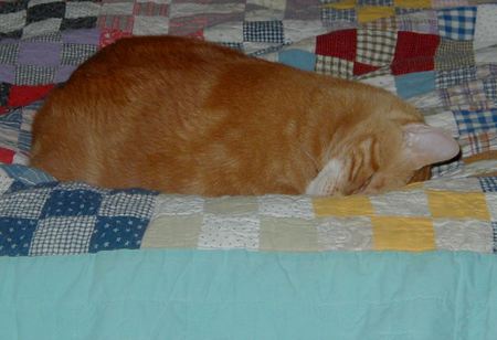 Fergie_snoozin_3 Fergie_snoozin_3