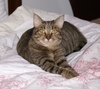 Coco_small Coco_small