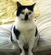 Elsie_small_2 Elsie_small_2