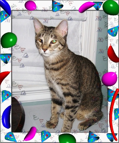 Mazie_grace_on_her_birthday_small_w