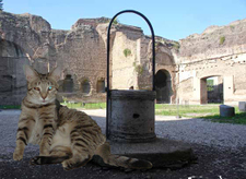 Mazie_in_rome_2_3 Mazie_in_rome_2_3