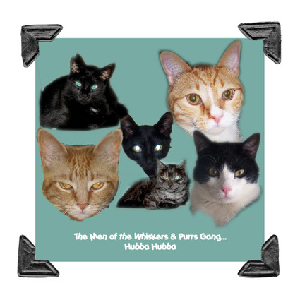 The_men_of_the_whiskers_and_purrs_3