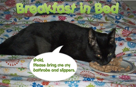 Breakfast_in_bed_edited1_small