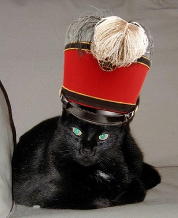 Felix_felix_hat_5