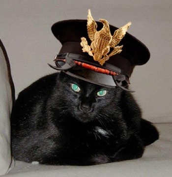 Felix_hat_1_2