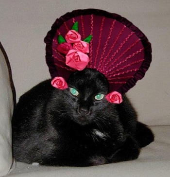 Felix_hat_2_edited1