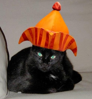 Felix_hat_3