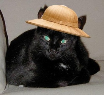 Felix_hat_4