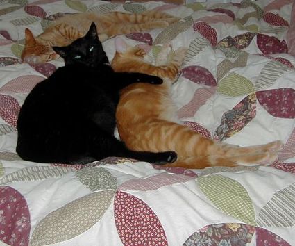 Spooning_4 Spooning_4