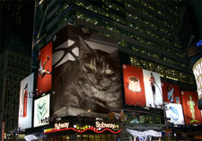 Henry_in_times_square