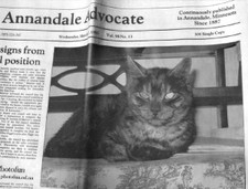 Henry_on_the_front_page_of_the_news