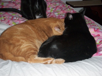 Comfort