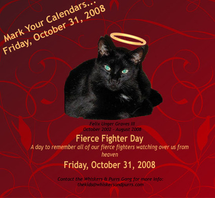 Fierce_fighter_day