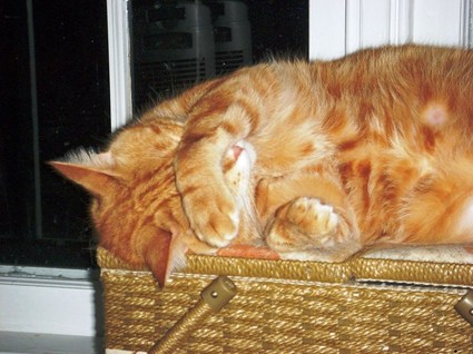 Fergie_is_stressed_out_small