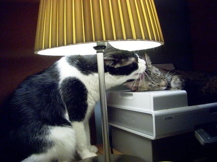 Kissin_on_the_copier_small