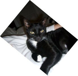 Freddy_small_5 Freddy_small_5