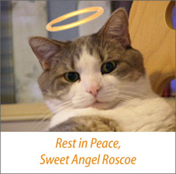 Rip_roscoe_2
