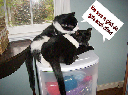 Weve_got_each_other
