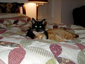 Elizabeth_taylor_and_georgie_the_2nd_dat Elizabeth_taylor_and_georgie_the_2nd_dat