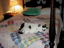 Elsie_lettin_it_all_hang_out_1
