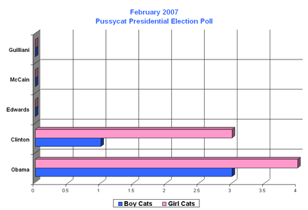 February_pussycat_presidential_election__5