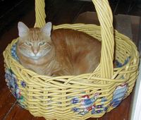 Fergie_duchess_of_huntsmoor