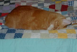Fergie_snoozin Fergie_snoozin
