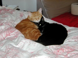 Sunday_mornin_snuggle Sunday_mornin_snuggle